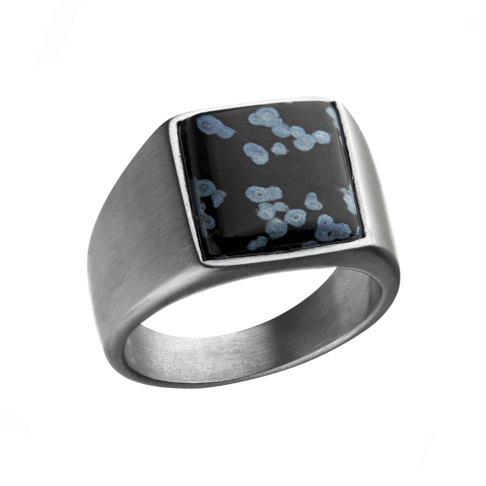 INOX JEWELRY Rings Silver Tone Stainless Steel Matte Finish with Polished Snowflake Stone Signet Ring