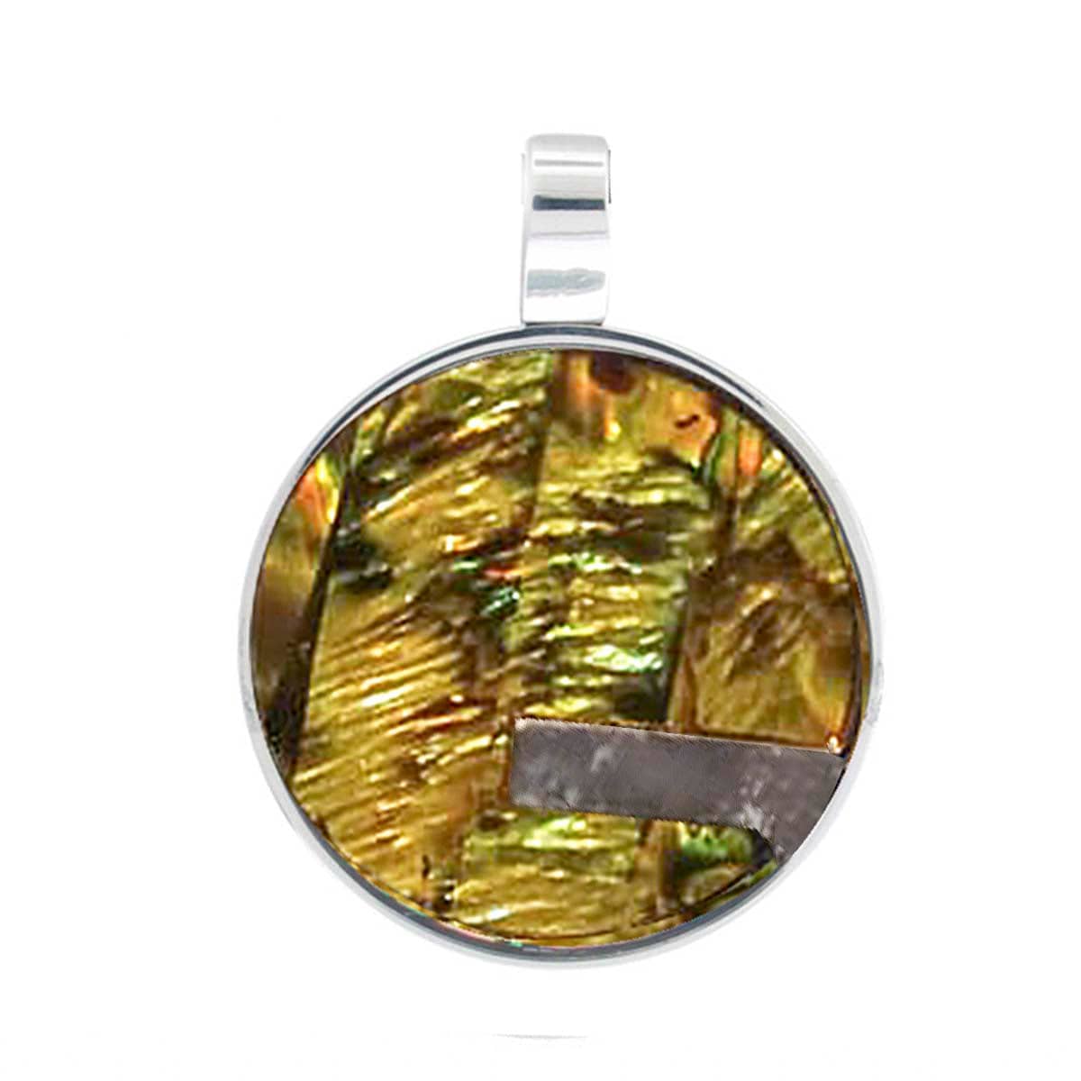 INOX JEWELRY Pendants Silver Tone Stainless Steel with Iridescent Abalone Shell Round Pendant SSP114-N