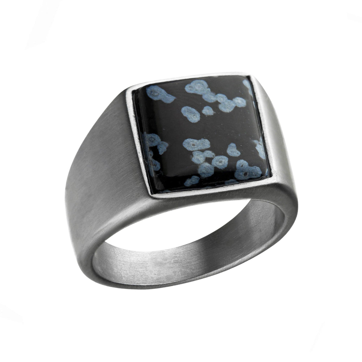 INOX JEWELRY Rings Silver Tone Stainless Steel Matte Finish with Polished Snowflake Stone Signet Ring